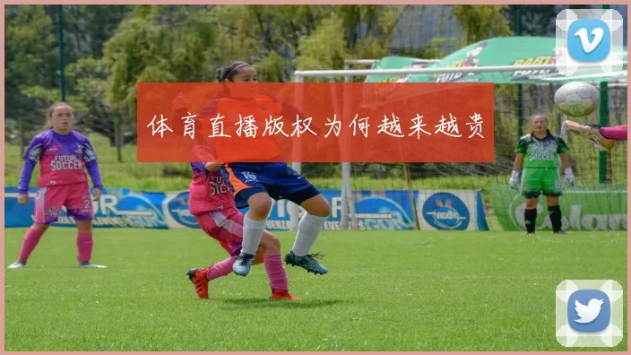 体育直播版权为何越来越贵