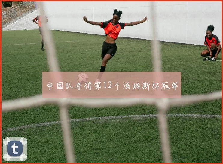 中国队夺得第12个汤姆斯杯冠军